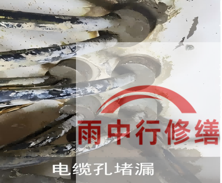 福建电缆线空洞堵漏加固案例