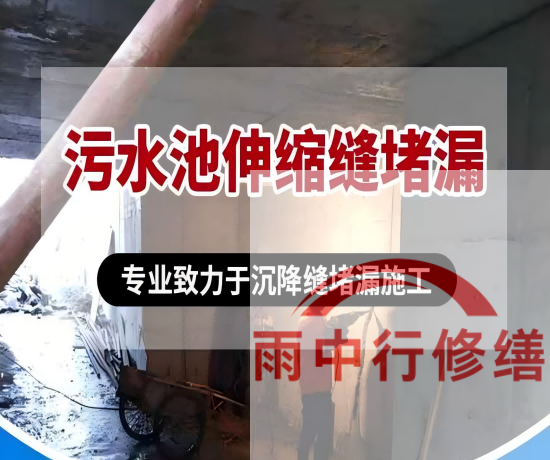 福建某污水处理厂钢筋混凝土池堵漏案例